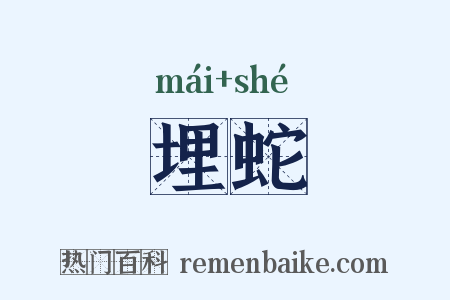 埋蛇是什么意思的图片